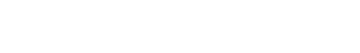 Best View Blinds logo